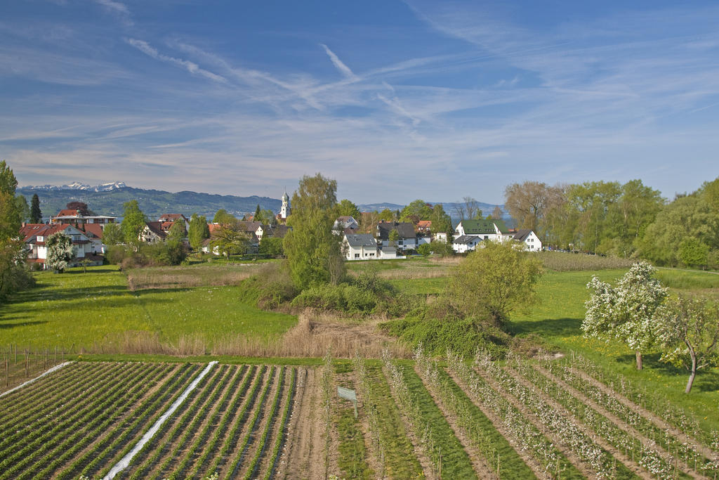 Hotel-Restaurant Walserhof Wasserburg Dış mekan fotoğraf